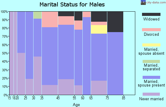 Port Leyden marital status for males