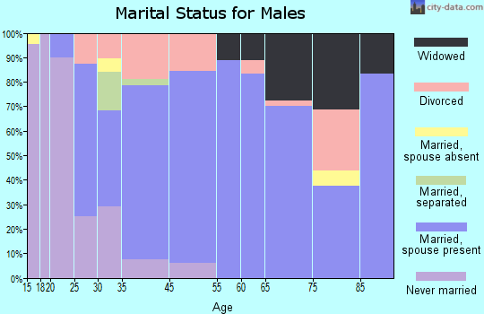 Portville marital status for males