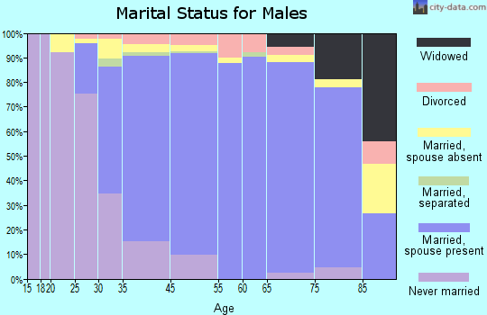 Port Washington marital status for males