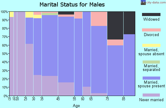 Port Washington North marital status for males
