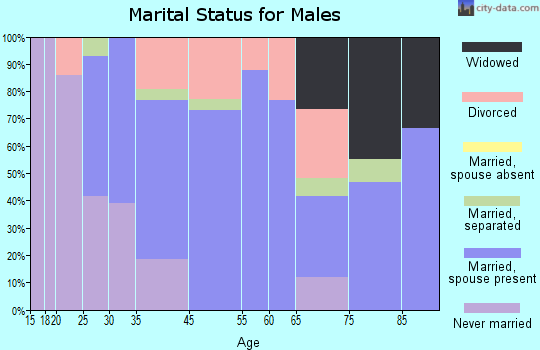 Pulaski marital status for males