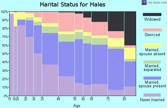 Rochester marital status for males