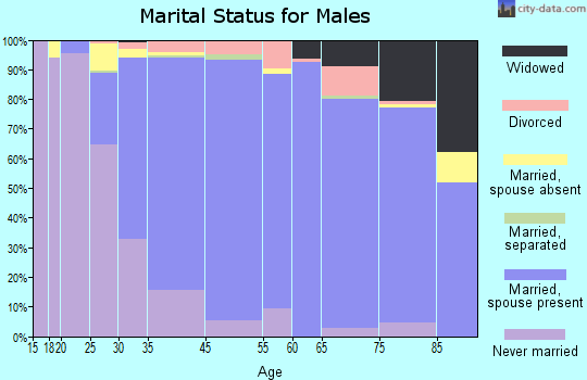 Rockville Centre marital status for males