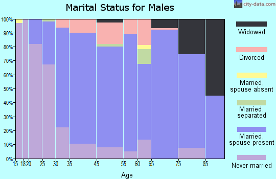 Rocky Point marital status for males