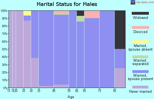 Roslyn Estates marital status for males