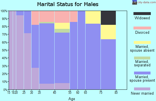 Round Lake marital status for males