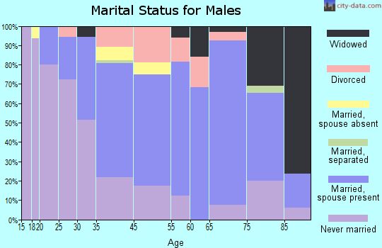 St. Johnsville marital status for males