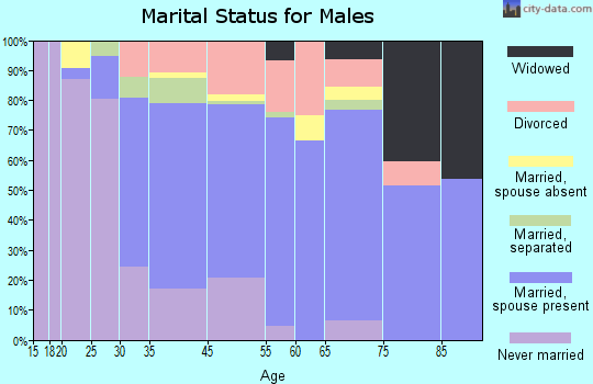 Saranac Lake marital status for males