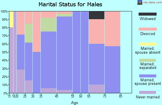 Sulphur Rock marital status for males