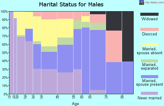 Saugerties marital status for males