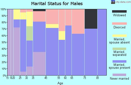 Sulphur Springs marital status for males