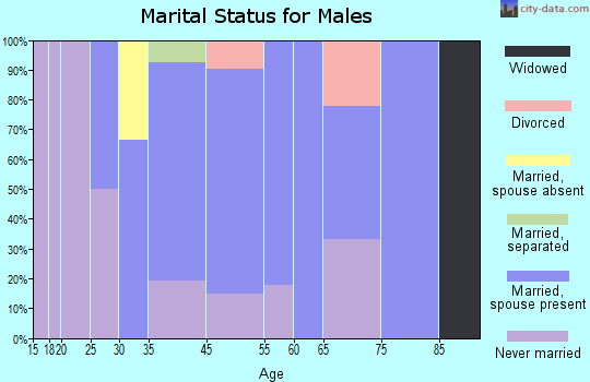 Scotts Corners marital status for males