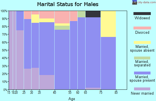 Scottsville marital status for males