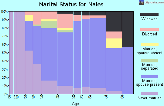 Seneca Falls marital status for males