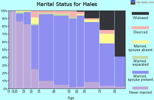 Setauket-East Setauket marital status for males