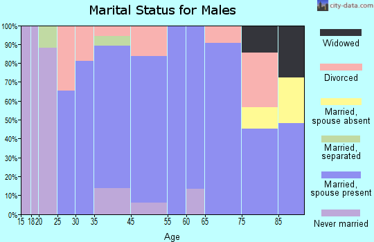 Silver Creek marital status for males