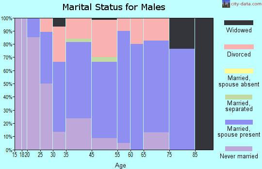 Silver Springs marital status for males