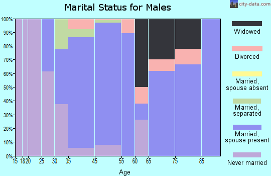 Skaneateles marital status for males