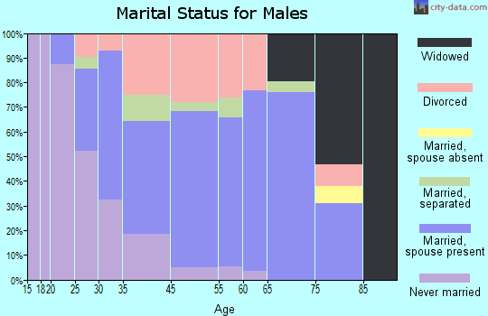 Sodus Point marital status for males