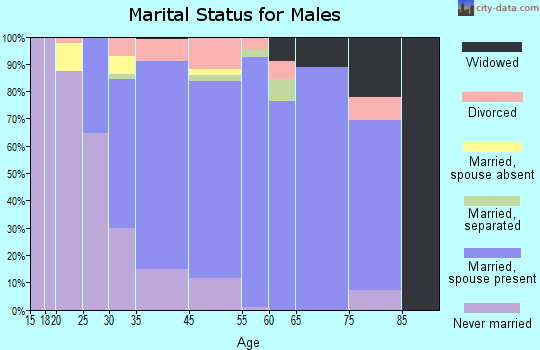 Sound Beach marital status for males