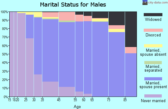 South Farmingdale marital status for males