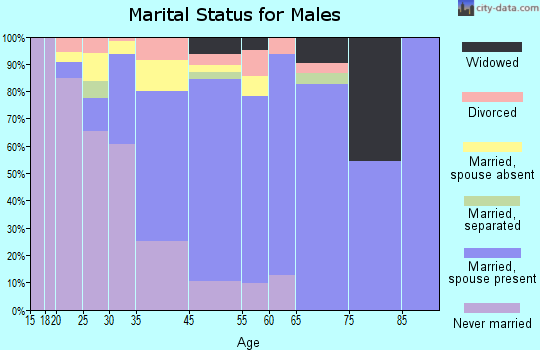 South Floral Park marital status for males