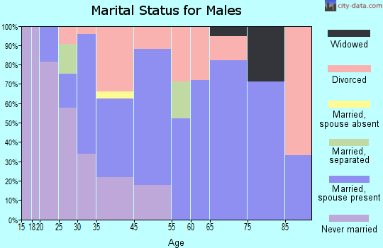 South Glens Falls marital status for males