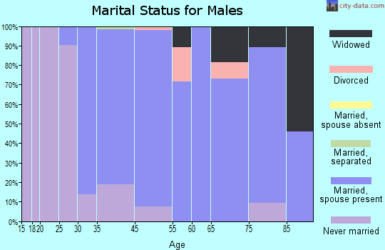 South Hempstead marital status for males