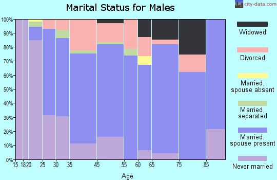 South Lockport marital status for males