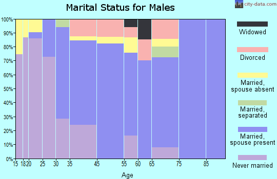 South Nyack marital status for males