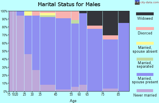 South Valley Stream marital status for males