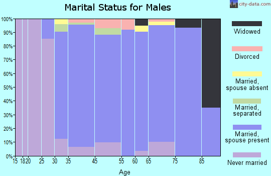Spackenkill marital status for males