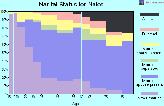 Spring Valley marital status for males