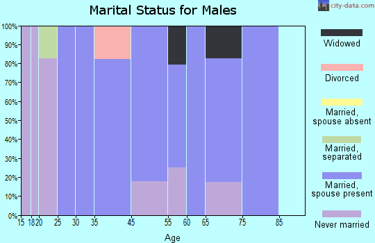 Staatsburg marital status for males