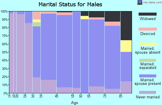 Stewart Manor marital status for males