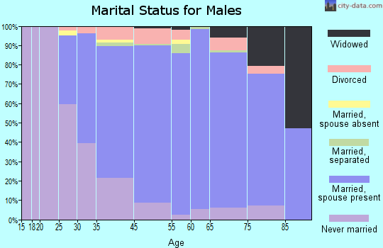 Stony Point marital status for males
