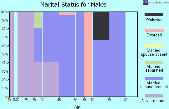 Turin marital status for males