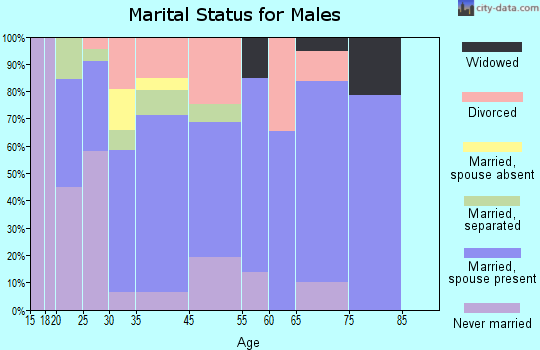 Vails Gate marital status for males