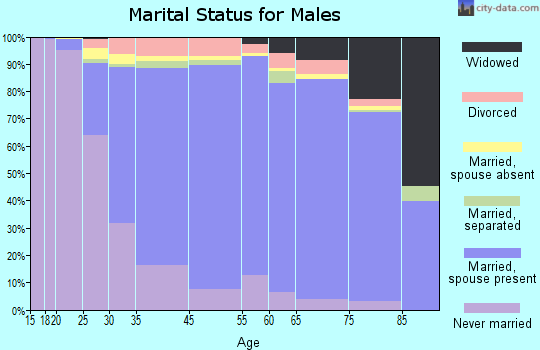 Valley Stream marital status for males