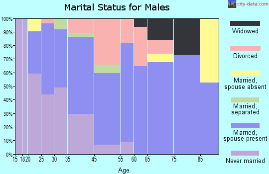 Village Green marital status for males