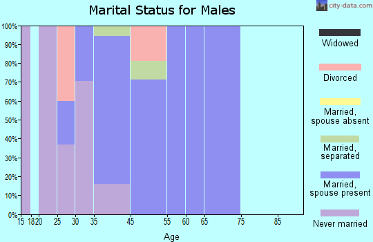 Walker Valley marital status for males
