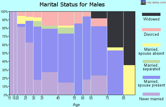 Wappingers Falls marital status for males