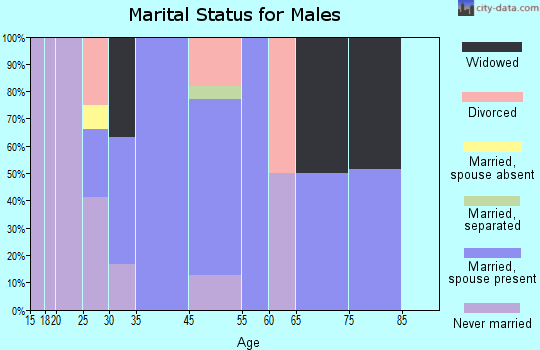 Washington Heights marital status for males