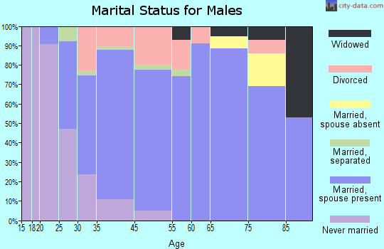 West Glens Falls marital status for males