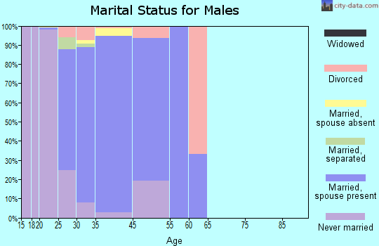 West Point marital status for males
