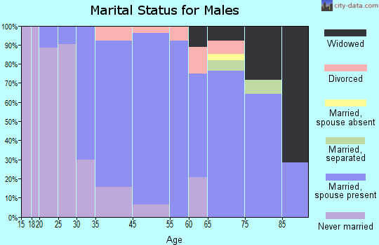 Wynantskill marital status for males