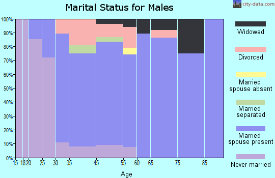 Youngstown marital status for males