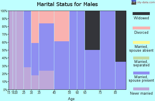 Altamahaw-Ossipee marital status for males