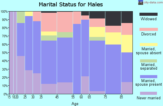 Andrews marital status for males
