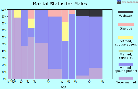 Ansonville marital status for males